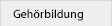 Gehörbildungssoftware