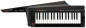 Preview: KORG RK-100S 2 Keytar, black