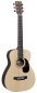 Preview: MARTIN LX1RE Little Martin