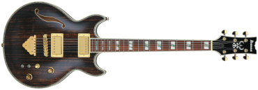 IBANEZ AR520HME-NT E-Gitarre