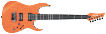 IBANEZ RGR5221-TFR E-Gitarre