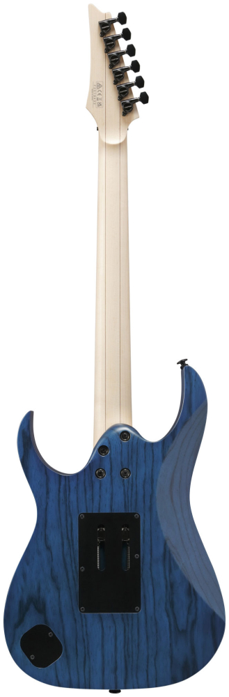 IBANEZ RG653DX-TDF E-Gitarre